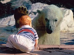 A Close Encounter